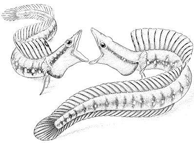 e-o-edward-o-wilson-sociobiology-220.jpg