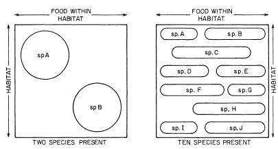 e-o-edward-o-wilson-sociobiology-237.jpg