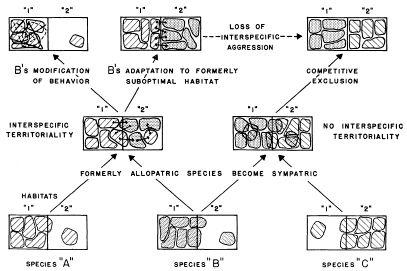 e-o-edward-o-wilson-sociobiology-238.jpg