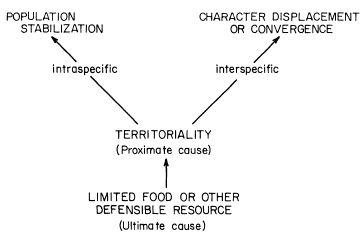 e-o-edward-o-wilson-sociobiology-239.jpg
