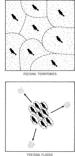 e-o-edward-o-wilson-sociobiology-24.jpg