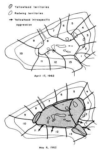 e-o-edward-o-wilson-sociobiology-240.jpg