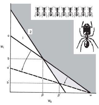 e-o-edward-o-wilson-sociobiology-263.jpg