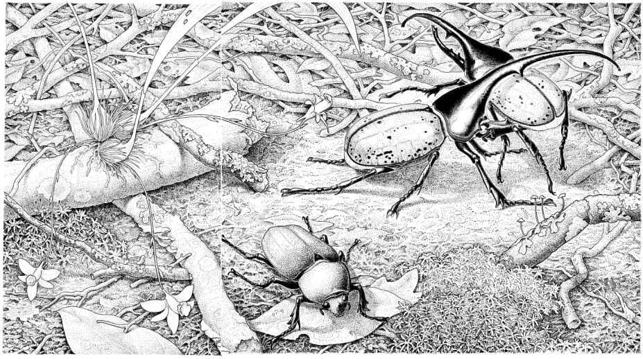 e-o-edward-o-wilson-sociobiology-267.jpg