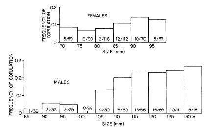 e-o-edward-o-wilson-sociobiology-269.jpg