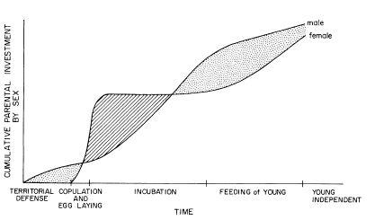 e-o-edward-o-wilson-sociobiology-271.jpg