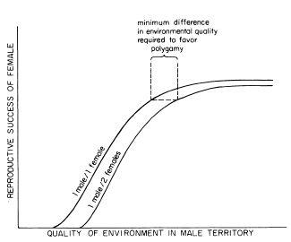 e-o-edward-o-wilson-sociobiology-272.jpg