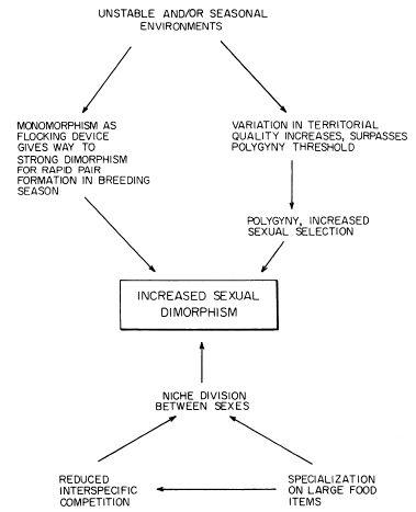 e-o-edward-o-wilson-sociobiology-275.jpg