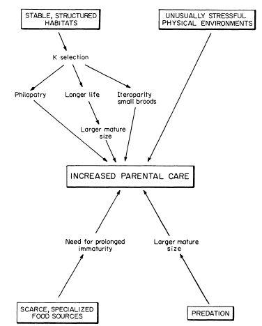 e-o-edward-o-wilson-sociobiology-277.jpg