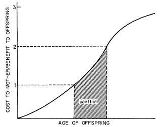 e-o-edward-o-wilson-sociobiology-279.jpg