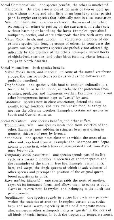 e-o-edward-o-wilson-sociobiology-283.jpg