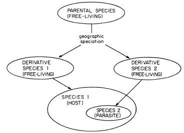 e-o-edward-o-wilson-sociobiology-294.jpg