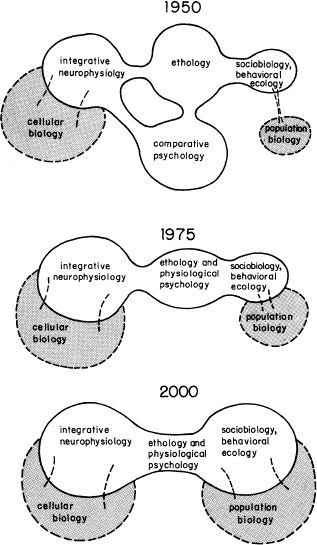 e-o-edward-o-wilson-sociobiology-3.jpg
