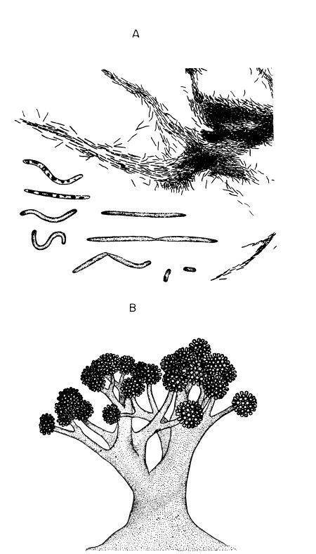 e-o-edward-o-wilson-sociobiology-302.jpg