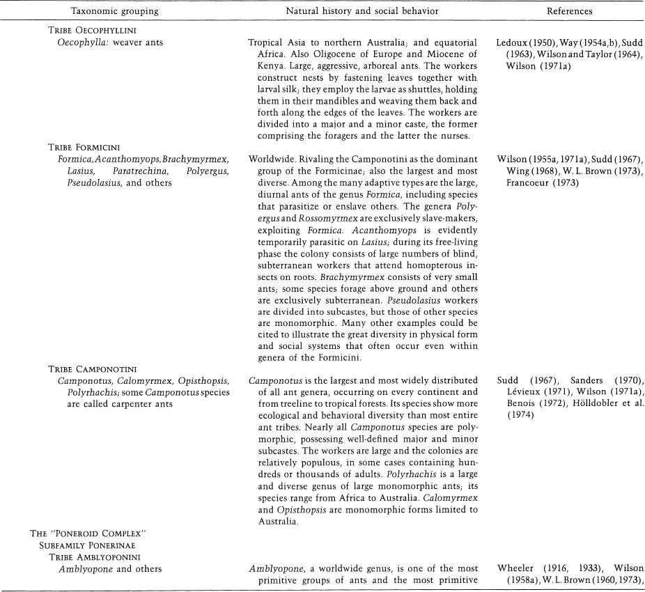 e-o-edward-o-wilson-sociobiology-311.jpg