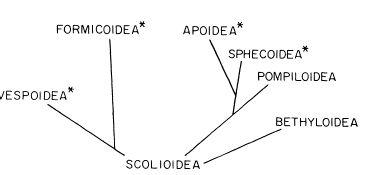 e-o-edward-o-wilson-sociobiology-322.jpg