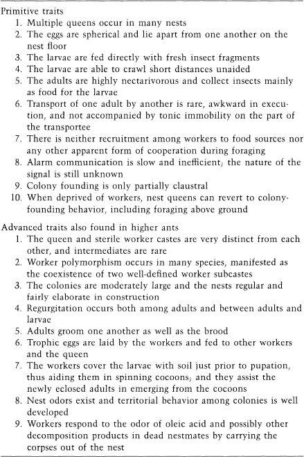 e-o-edward-o-wilson-sociobiology-326.jpg
