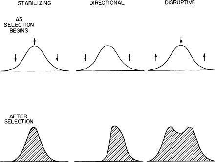 e-o-edward-o-wilson-sociobiology-33.jpg