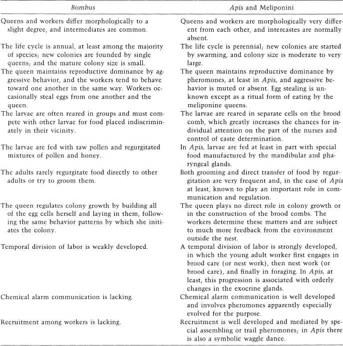 e-o-edward-o-wilson-sociobiology-331.jpg