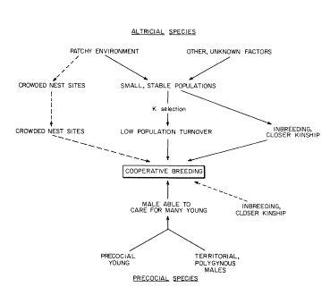 e-o-edward-o-wilson-sociobiology-342.jpg