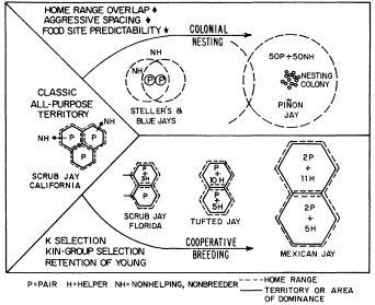 e-o-edward-o-wilson-sociobiology-343.jpg