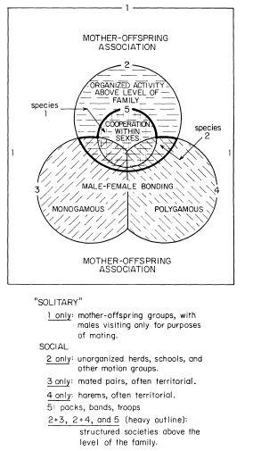 e-o-edward-o-wilson-sociobiology-356.jpg