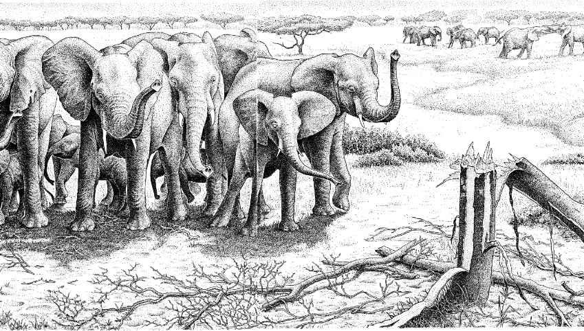 e-o-edward-o-wilson-sociobiology-368.jpg