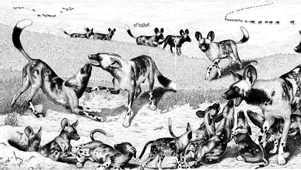 e-o-edward-o-wilson-sociobiology-374.jpg