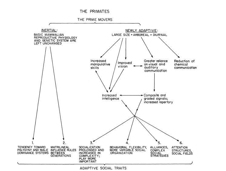 e-o-edward-o-wilson-sociobiology-375.jpg
