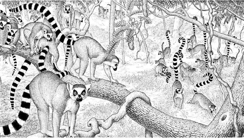 e-o-edward-o-wilson-sociobiology-382.jpg