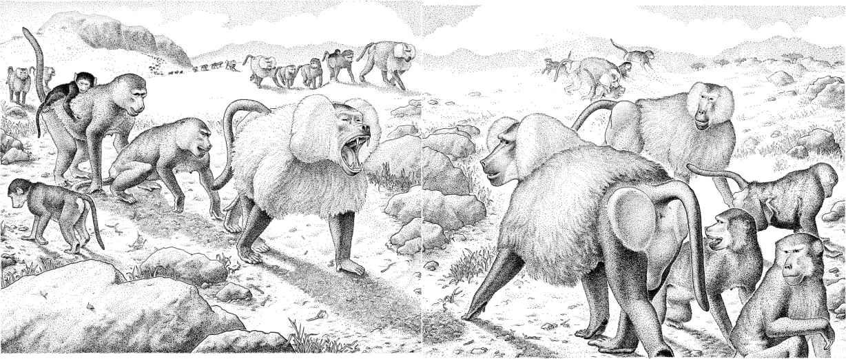 e-o-edward-o-wilson-sociobiology-383.jpg