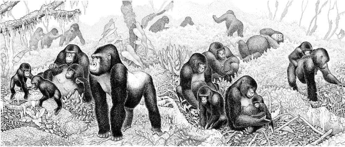 e-o-edward-o-wilson-sociobiology-384.jpg