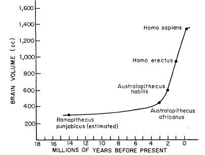 e-o-edward-o-wilson-sociobiology-388.jpg