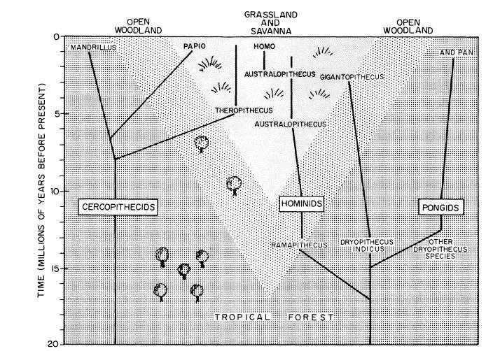 e-o-edward-o-wilson-sociobiology-395.jpg