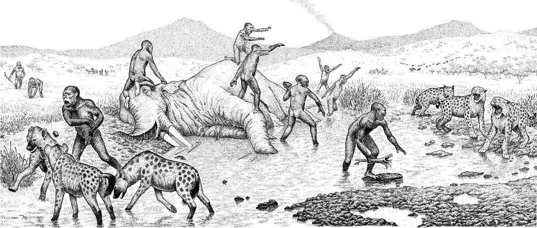 e-o-edward-o-wilson-sociobiology-397.jpg