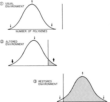 e-o-edward-o-wilson-sociobiology-45.jpg