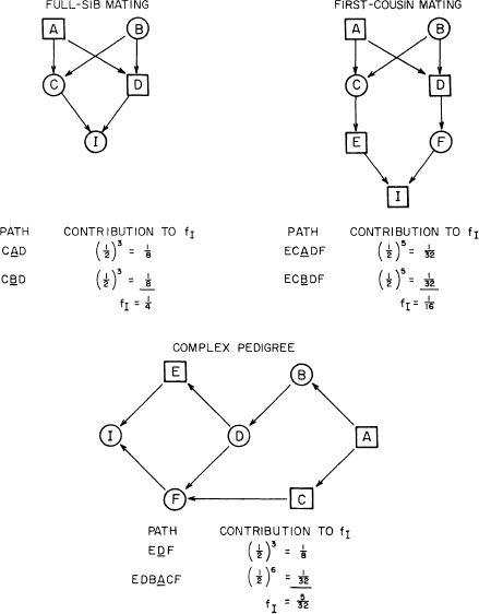 e-o-edward-o-wilson-sociobiology-48.jpg