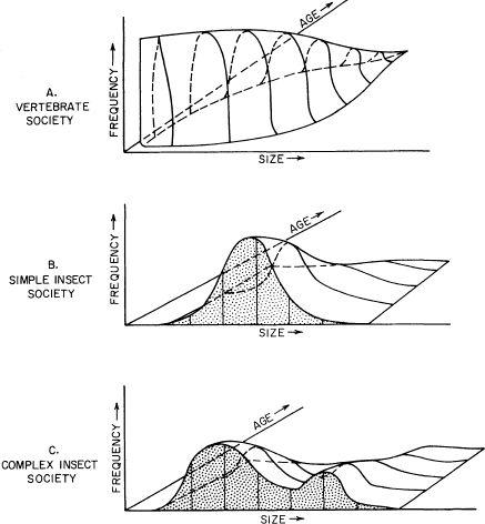 e-o-edward-o-wilson-sociobiology-5.jpg