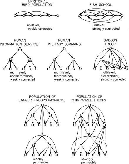 e-o-edward-o-wilson-sociobiology-6.jpg