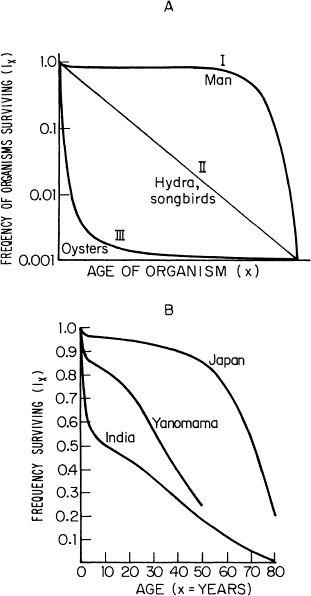 e-o-edward-o-wilson-sociobiology-78.jpg