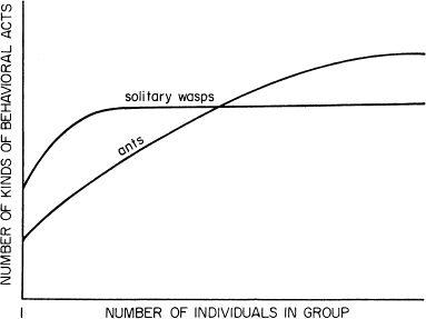 e-o-edward-o-wilson-sociobiology-8.jpg