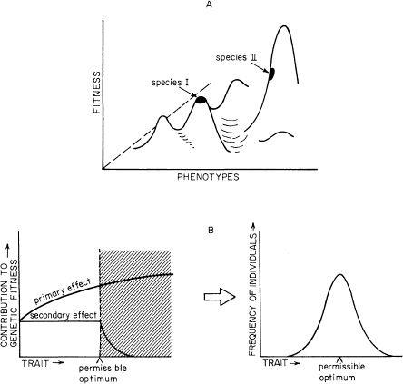 e-o-edward-o-wilson-sociobiology-9.jpg