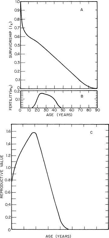 e-o-edward-o-wilson-sociobiology-92.jpg