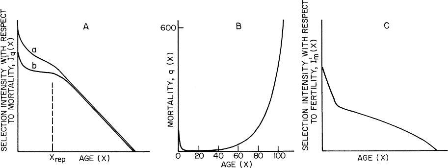 e-o-edward-o-wilson-sociobiology-99.jpg