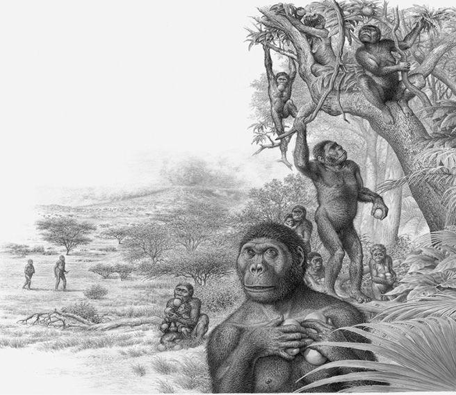 e-o-edward-o-wilson-the-social-conquest-of-earth-13.jpg