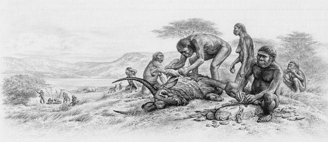 e-o-edward-o-wilson-the-social-conquest-of-earth-14.jpg