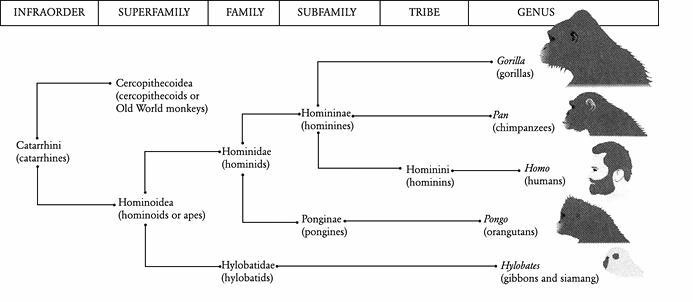 e-o-edward-o-wilson-the-social-conquest-of-earth-16.jpg