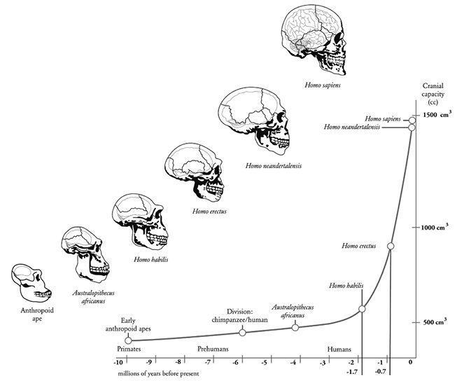 e-o-edward-o-wilson-the-social-conquest-of-earth-18.jpg