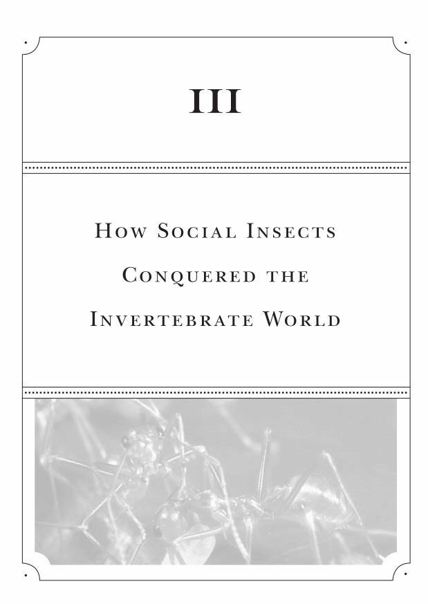 e-o-edward-o-wilson-the-social-conquest-of-earth-25.jpg