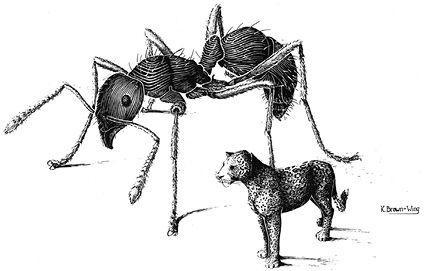 e-o-edward-o-wilson-the-social-conquest-of-earth-27.jpg